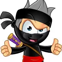The Economic Ninja
