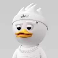 TWizo