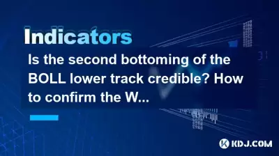 Boll 하위 트랙의 두 번째 바닥은 신뢰할 수 있습니까? W 바닥 패턴을 확인하는 방법? Boll 하위 트랙의 두 번째 바닥은 신뢰할 수 있습니까? W 바닥 패턴을 확인하는 방법?