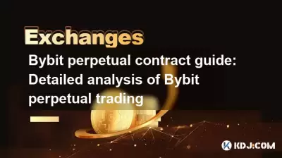 Bybit Perpetual Contract Leitfaden: Detaillierte Analyse des Bybit -Perpetualhandels
