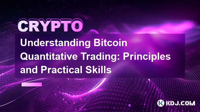 理解Bitcoin定量交易:原理和实践技能 理解Bitcoin定量交易:原理和实践技能
