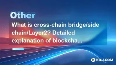 什麼是跨鏈橋/側鏈/層2?區塊鏈擴展計劃的詳細說明 什麼是跨鏈橋/側鏈/層2?區塊鏈擴展計劃的詳細說明
