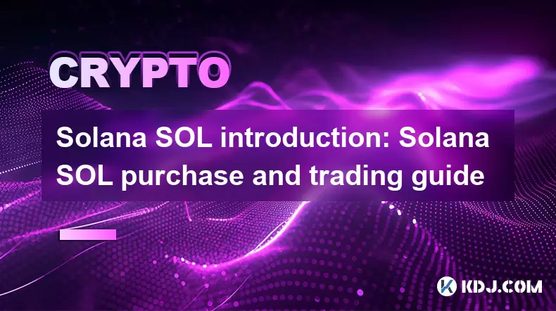 Solana Sol簡介:Solana Sol購買和交易指南 Solana Sol簡介:Solana Sol購買和交易指南