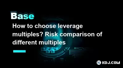 How to choose leverage multiples? Risk comparison of different multiples
