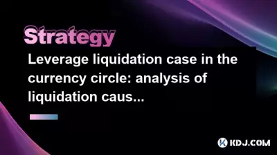 利用貨幣圈中的清算案例:清算原因和經驗摘要的分析 利用貨幣圈中的清算案例:清算原因和經驗摘要的分析