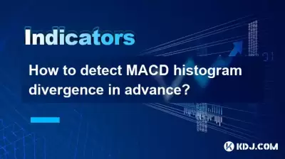 Wie kann man MACD -Histogramm -Divergenz im Voraus nachweisen?