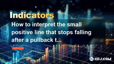 サポートレベルへのプルバックの後に落ちるのを止める小さなポジティブラインを解釈する方法は? 2回目のスタートの前駆体? サポートレベルへのプルバックの後に落ちるのを止める小さなポジティブラインを解釈する方法は? 2回目のスタートの前駆体?