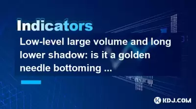 低レベルの大きなボリュームと長い下の影:それは金色の針の底部のパターンですか? 低レベルの大きなボリュームと長い下の影:それは金色の針の底部のパターンですか?