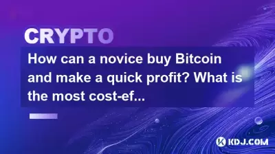 Wie kann ein Anfänger Bitcoin kaufen und einen schnellen Gewinn erzielen? Was ist die kostengünstigste Art zu kaufen?