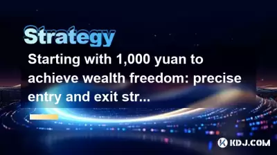從1000元開始實現財富自由的開始：模因硬幣投機的精確進入和退出策略
