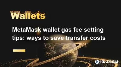 Metamask Wallet氣體費用設定提示：節省轉移成本的方法