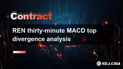 REN 30分钟MACD顶部差异分析