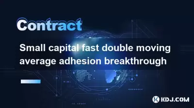 Petit capital rapide à double mobile moyen d'adhésion percée