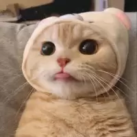 Rempo