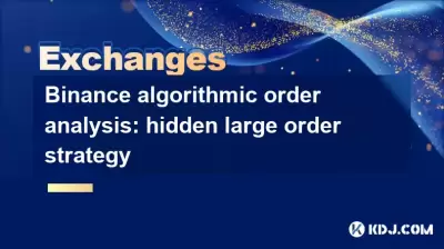 Binance Algorithmic Order Analysis: Versteckte Strategie mit großer Ordnung