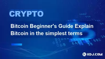 Bitcoin 초보자 안내서는 가장 간단한 용어로 Bitcoin를 설명합니다 Bitcoin 초보자 안내서는 가장 간단한 용어로 Bitcoin를 설명합니다