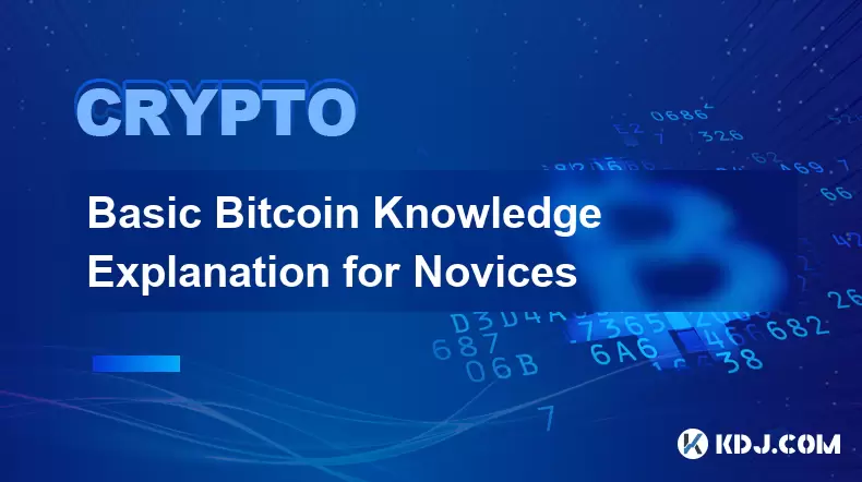 초보자에 대한 기본 Bitcoin 지식 설명 초보자에 대한 기본 Bitcoin 지식 설명