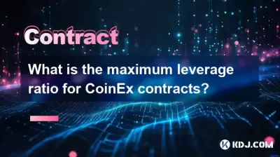 Quel est le rapport de levier maximal pour les contrats COINEX?