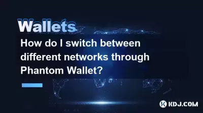 如何通過幻影錢包在不同的網絡之間切換？