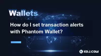 如何使用Phantom Wallet設置交易警報？