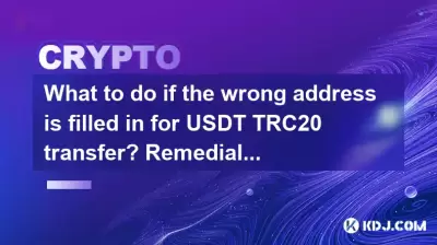 What to do if the wrong address is filled in for USDT TRC20 transfer? Remedial measures sharing
