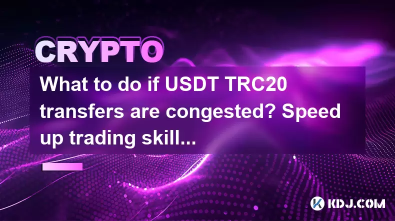 如果USDT TRC20轉移會擠滿了什麼,該怎麼辦?加快交易技巧 如果USDT TRC20轉移會擠滿了什麼,該怎麼辦?加快交易技巧
