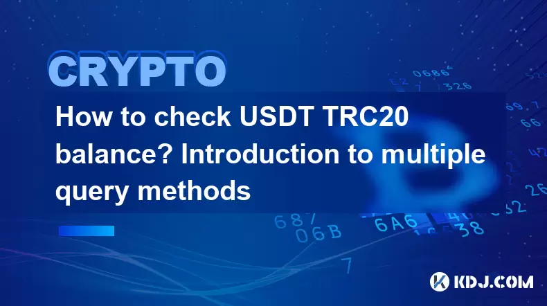 如何检查USDT TRC20余额?多个查询方法简介 如何检查USDT TRC20余额?多个查询方法简介