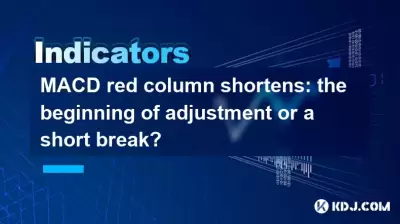 MACD Red Column Shorts: Der Beginn der Einstellung oder eine kurze Pause?