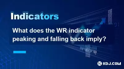 WR指示器的峰值和后退是什么意思？