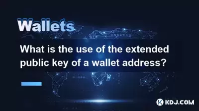 錢包地址的擴展公鑰有什麼用？