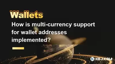 지갑 주소에 대한 다중 통화 지원은 어떻게 구현됩니까?