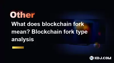 區塊鍊是什麼意思?區塊鏈叉類型分析 區塊鍊是什麼意思?區塊鏈叉類型分析