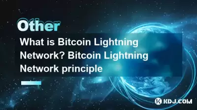 什麼是Bitcoin閃電網絡？ Bitcoin閃電網絡原理