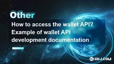 如何訪問錢包API？錢包API開發文檔的示例