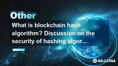 什麼是區塊鏈哈希算法?討論哈希算法的安全性 什麼是區塊鏈哈希算法?討論哈希算法的安全性
