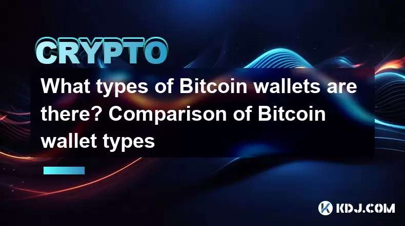 有哪种类型的Bitcoin钱包? Bitcoin钱包类型的比较 有哪种类型的Bitcoin钱包? Bitcoin钱包类型的比较