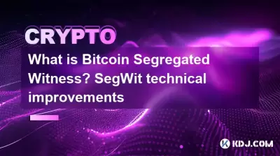 Bitcoin 분리 된 증인은 무엇입니까? SEGWIT 기술 개선 Bitcoin 분리 된 증인은 무엇입니까? SEGWIT 기술 개선