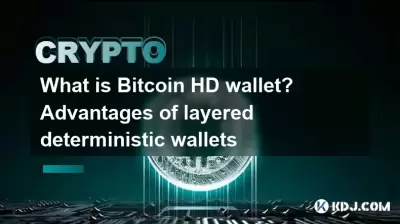 Bitcoin HD 지갑은 무엇입니까? 계층화 된 결정 론적 지갑의 장점 Bitcoin HD 지갑은 무엇입니까? 계층화 된 결정 론적 지갑의 장점