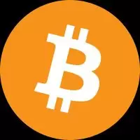 Bitcoin professor