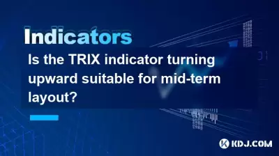 Trix指示器是否適合中期佈局？