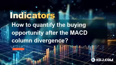 Wie kann ich die Kaufmöglichkeit nach der MACD -Säule -Divergenz quantifizieren?
