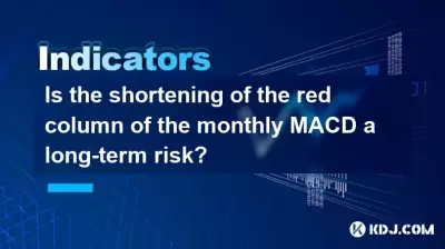 每月MACD的紅色柱縮短是否有長期風險？