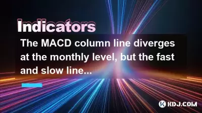 Die MACD -Säulenlinie divergiert auf der monatlichen Ebene, aber die schnellen und langsamen Linien sind keine toten Kreuze?