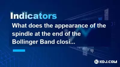 紡錘體末端的主軸的外觀表明什麼？