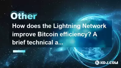 How does the Lightning Network improve Bitcoin efficiency? A brief technical analysis How does the Lightning Network improve Bitcoin efficiency? A brief technical analysis