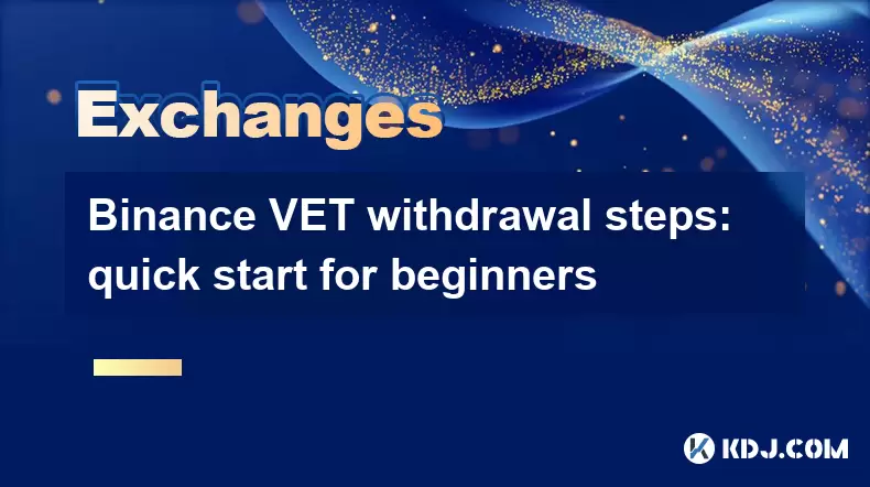 Binance 수의사 철수 단계 : 초보자를위한 빠른 시작 Binance 수의사 철수 단계 : 초보자를위한 빠른 시작