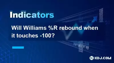 Will Williams %R rebound when it touches -100? Will Williams %R rebound when it touches -100?