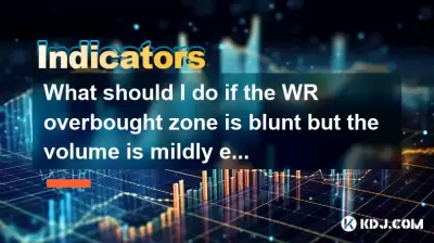 WRの過剰なゾーンが鈍いが、ボリュームが軽度に拡大した場合はどうすればよいですか? WRの過剰なゾーンが鈍いが、ボリュームが軽度に拡大した場合はどうすればよいですか?