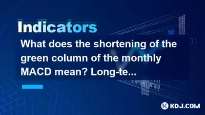 월간 MACD의 녹색 열의 단축은 무엇을 의미합니까? 장기 구매 포인트?
