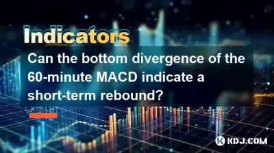 Can the bottom divergence of the 60-minute MACD indicate a short-term rebound?